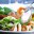 The Food
