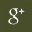 gplus_icon
