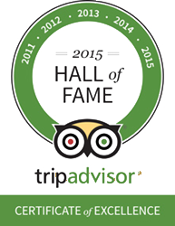 2015 Hall of Fame Award