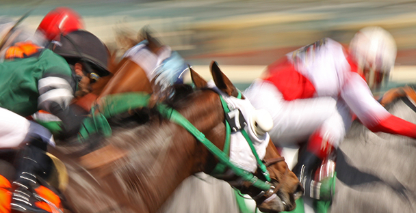 Horse Racing