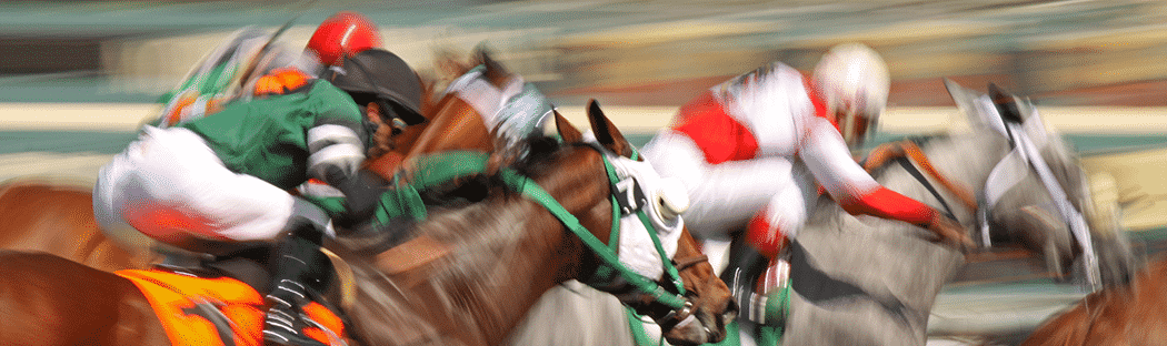 Watch horse racing at the Saratoga Race Course
