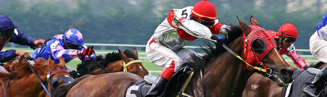 Close up of jockey atop race horse