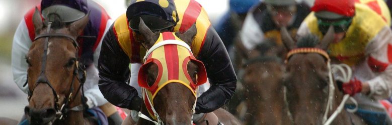 Close up of a race horse and jockey