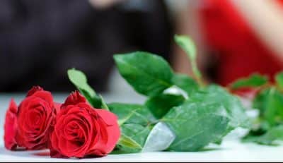 Red roses sit on table