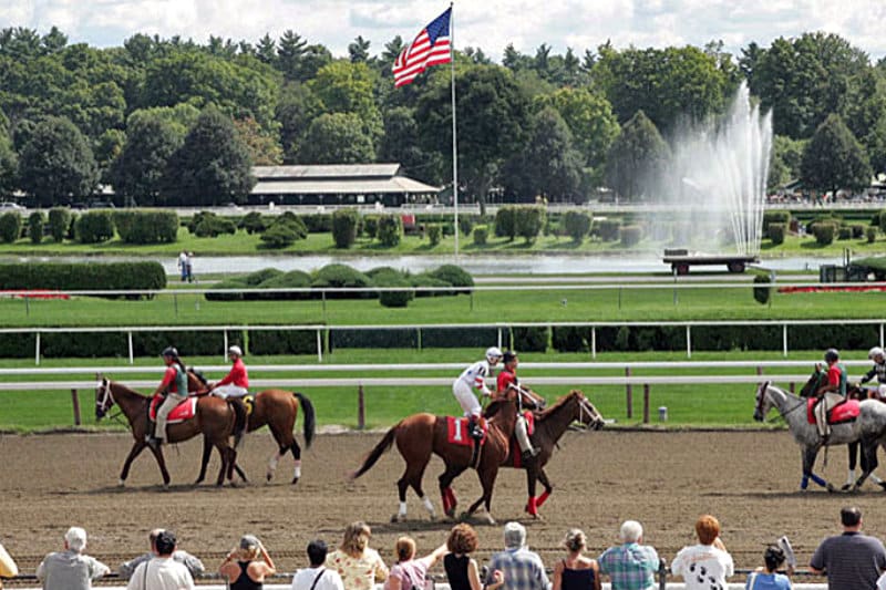 The Paddock at the Race Course