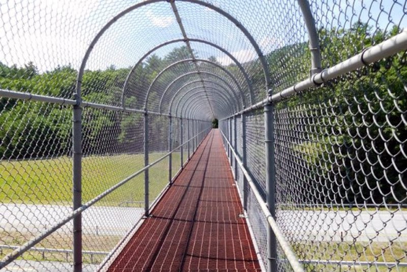 Bridge to Prospect Mountain