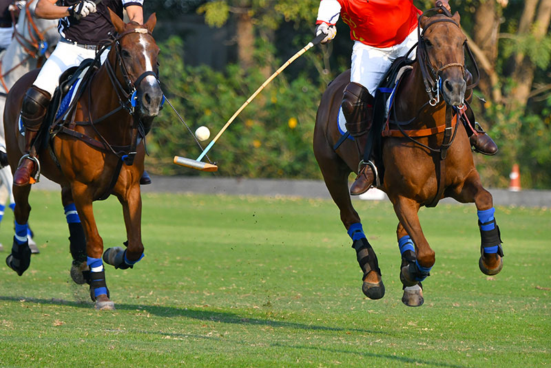 Summer activities in Saratoga Springs - Polo