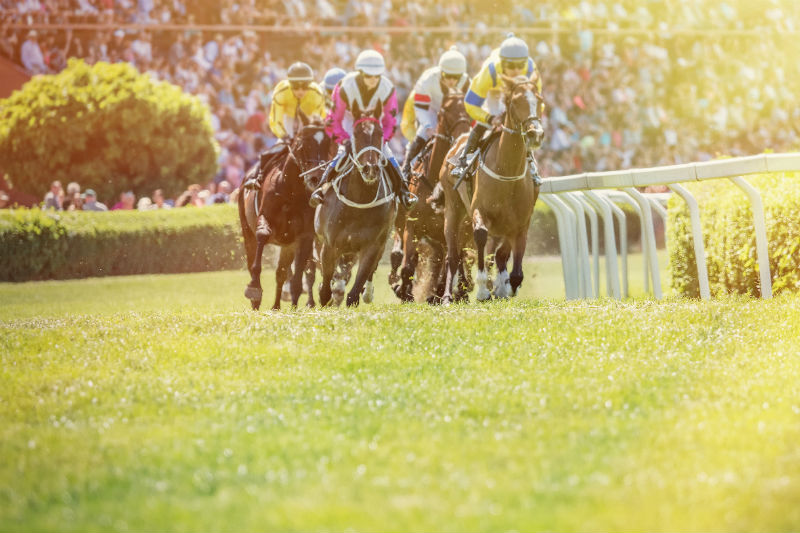 A day at the Saratoga Race Course during your 72 hours in Saratoga Springs, NY