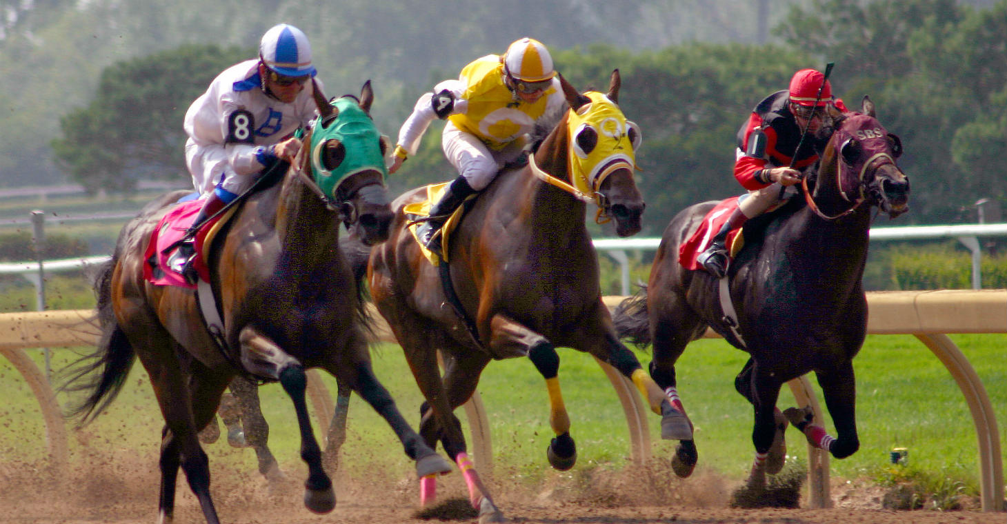 Horse races at the Saratoga Race Course