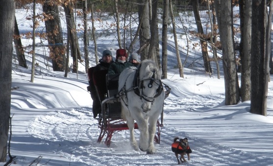 Winter Sleigh Ride