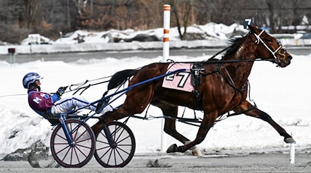 Saratoga Casino and Raceway