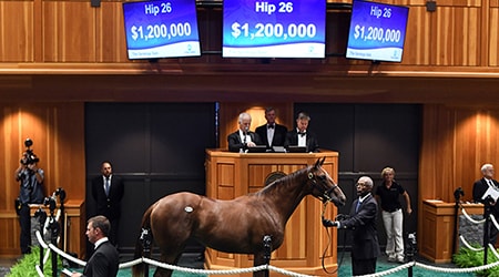 Fasig-Tipton Sales