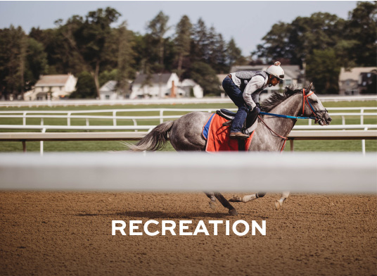 Horse racing outdoor track with a single grey horse and its jockey racing by.